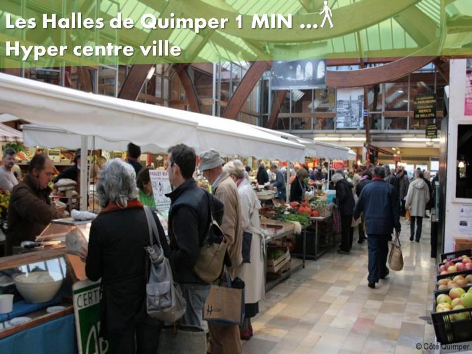 Les Nids De Saint Marc - Centre-Ville Quimper Luaran gambar